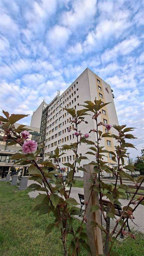 Kiskunmajsa borászati központ képe