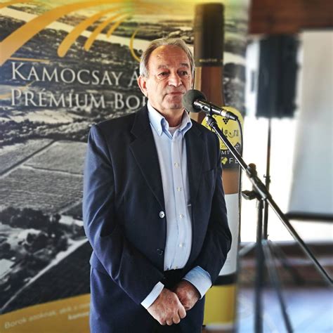 Hilltop borászati komplexum látképe a Meleges-hegyen