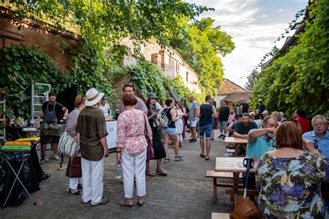 Zalai dombok szőlőültetvényekkel