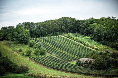 Térkép a Zalai Borvidék fő területeiről