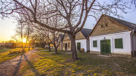 Pincefalu a Tolnai borvidéken