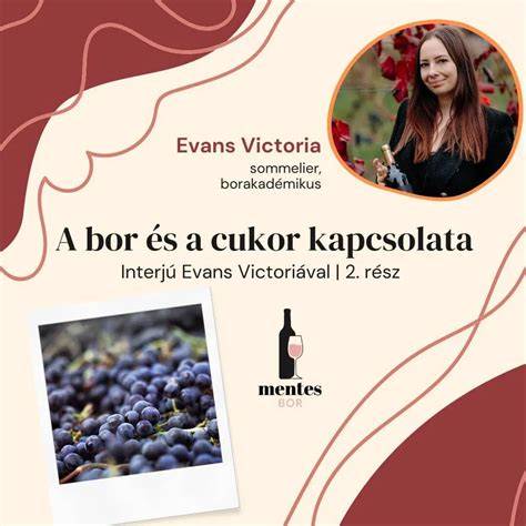 infographic cukor és alkoholtartalom kapcsolata