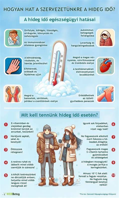 infografika a hideg viccek felépítéséről