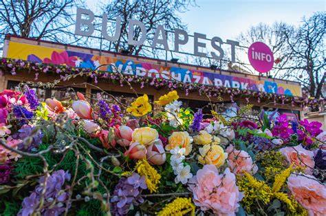Budapesti koktélbar hangulata a hétvégén