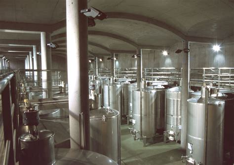 Modern borászati üzem belső tere