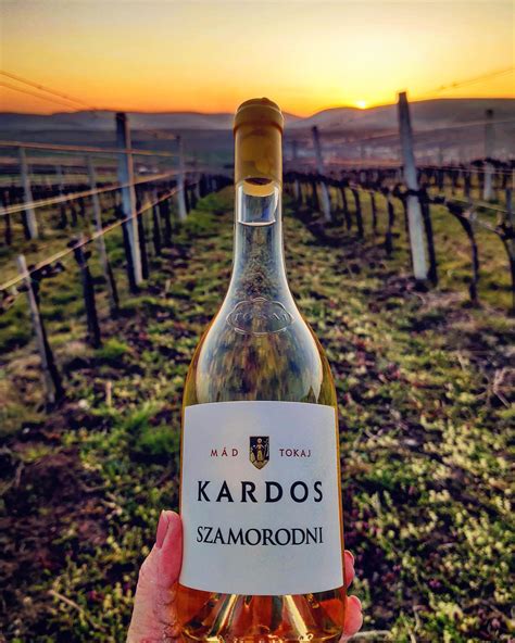 Tokaji szőlőbirtok