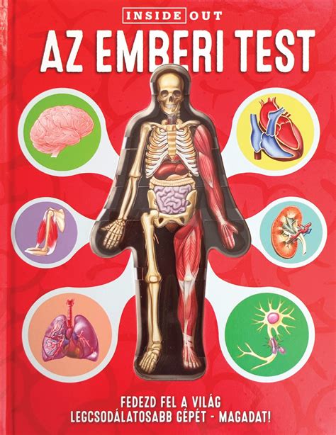 Az emberi test energiapályáinak stilizált ábrázolása