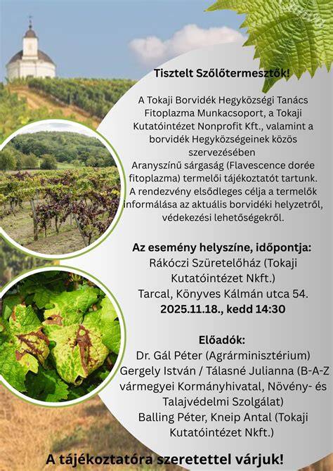 Tokaji borászati versenydarabok