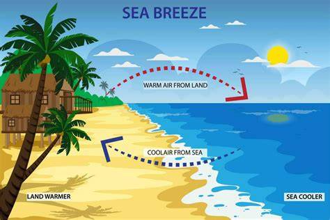 _fotó a Sea Breeze összetevőiről
