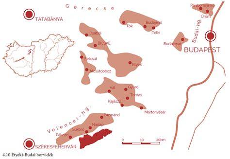 borvákum és terroir Etyeki szőlőterületek