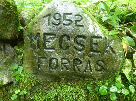 karsztvíz alapú sörfőzés Mecsek forrás
