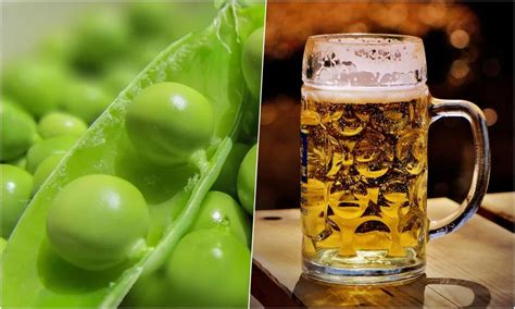 Savanyú sörök típusai és jellegzetességek táblázatban