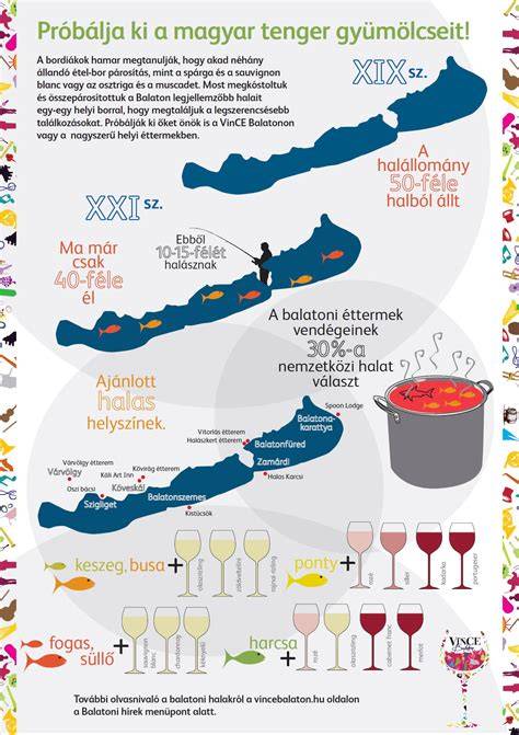 Infografika a borok színeiről és típusairól