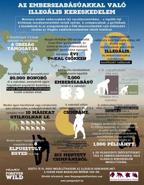 Infografika: Vilmoskörték és elterjedésük