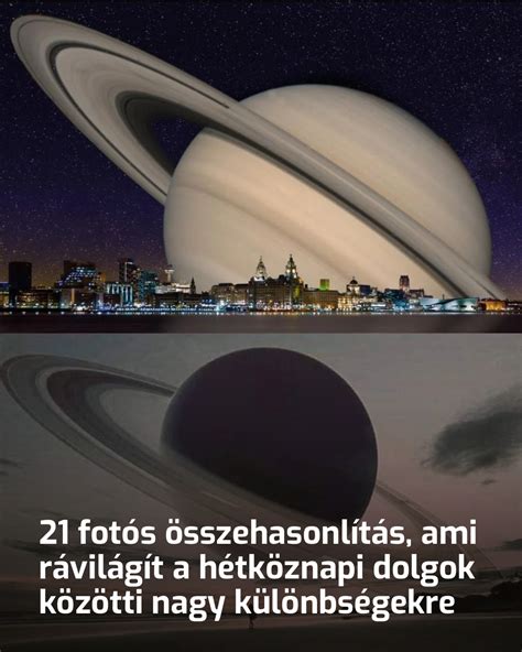 vizuális összehasonlítás a borokról