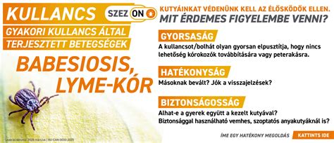 Kullancs elleni védekezés és eltávolítás