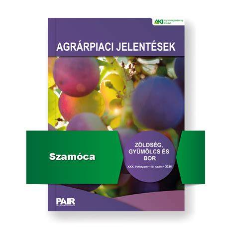 bor és hisztamin kapcsolat vizuális ábra