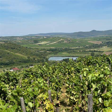 Tokaji borvidék panoráma