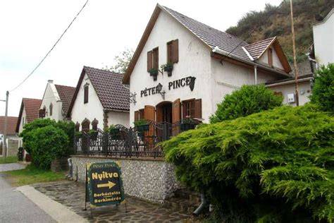 Tokaji pincék és pincesor