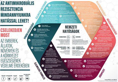 infografika a nyelvi kifejezések használatáról