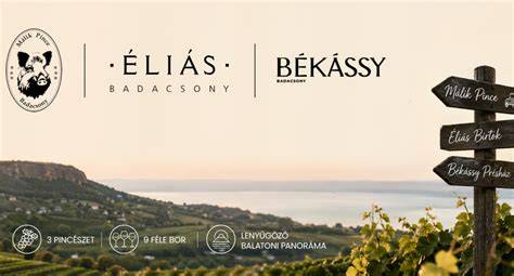 Badacsony vulkanikus talaj és szőlőhegyek panorama