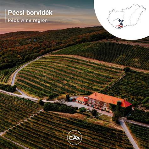 borvidék természetes adottságai infographic