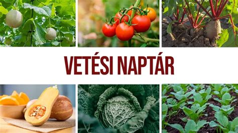 névnap és hagyományok vizuális ábrázolása