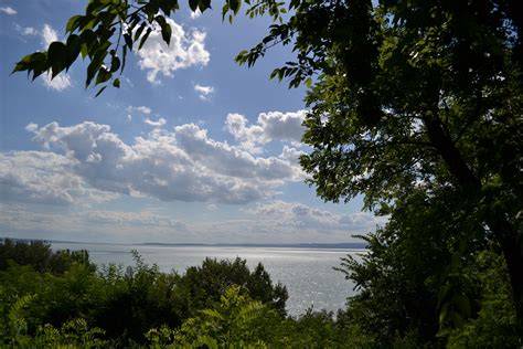 Balaton északi part tájképe borral