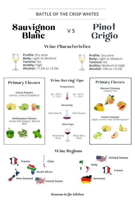 vonalas ötvözet Pinot Blanc és Sauvignon Blanc gazdag grafika