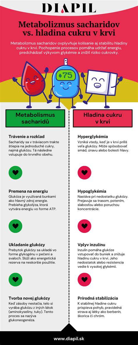Infografika a metabolizmus menetéről