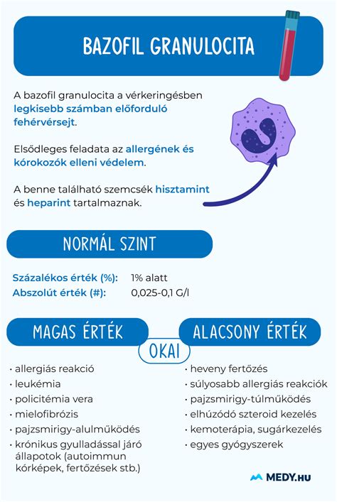 Infografika a hegyközségi járulék beszedési és felhasználási folyamatáról