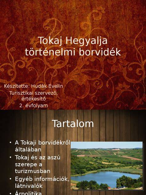 Tokaj-Hegyalja történelmi pincefelde