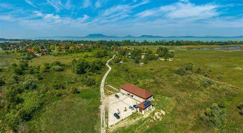 balaton déli part tájkép és szőlőterület