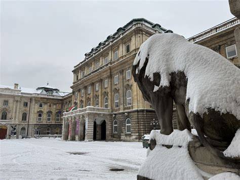 fröccs kultúra Budapesten