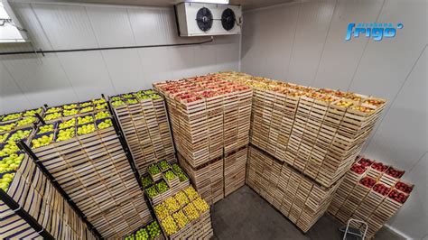 hőmérséklet szabályozott raktár