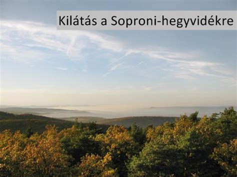 Kilátás a Soproni-hegységből
