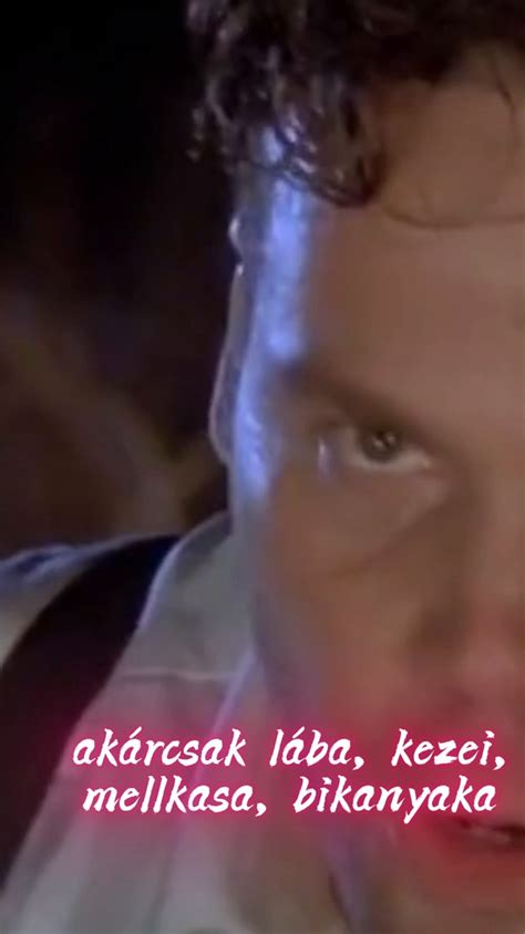 Részlet egy demjéni borospincéből